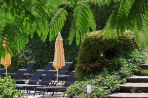 albizia-09 albizia-09