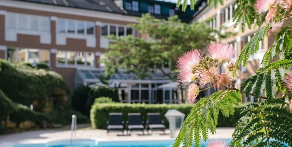 Blühende Pflanzen umgeben einen Poolbereich, der zu einem entspannenden Sommer-Retreat einlädt. | © Albizia